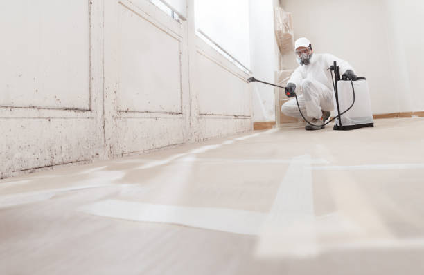 24/7 Emergency Mold Removal experts in Mitchells, VA